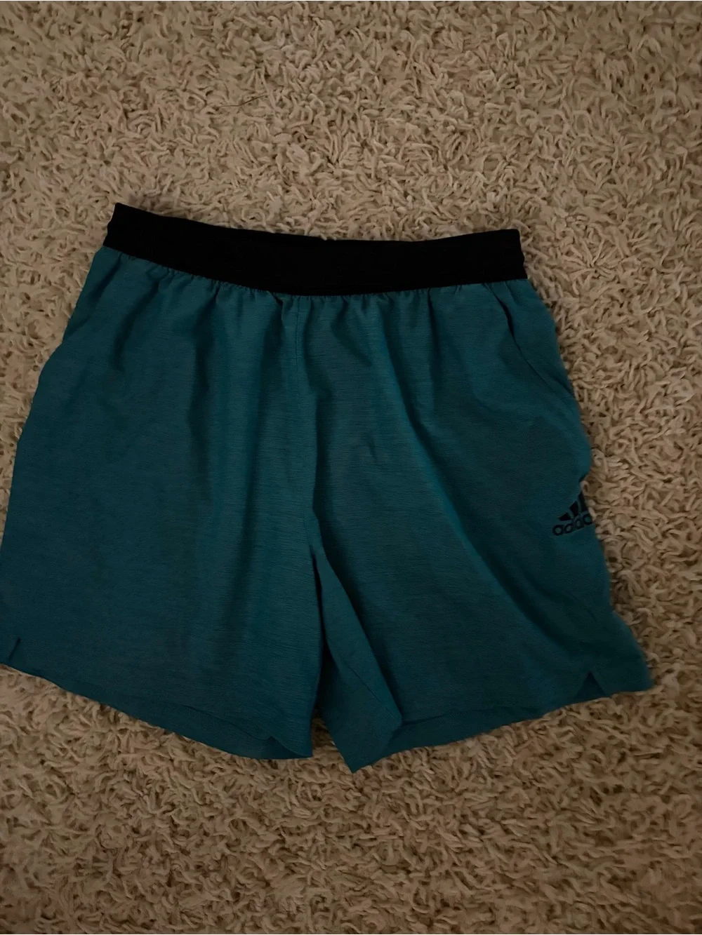 adidas Teal Athletic Shorts with Black Waistband